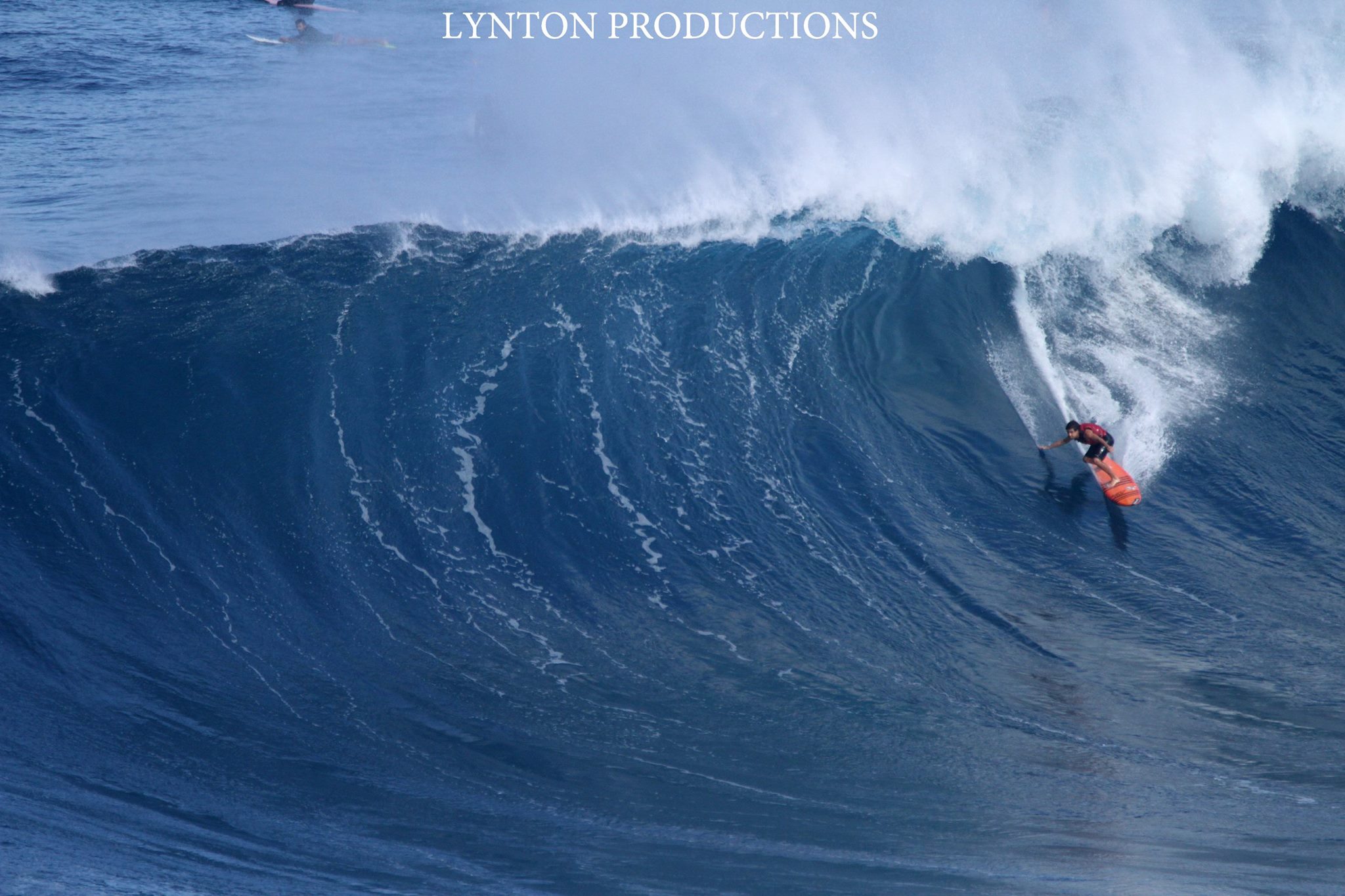 Image: Aaron Lynton