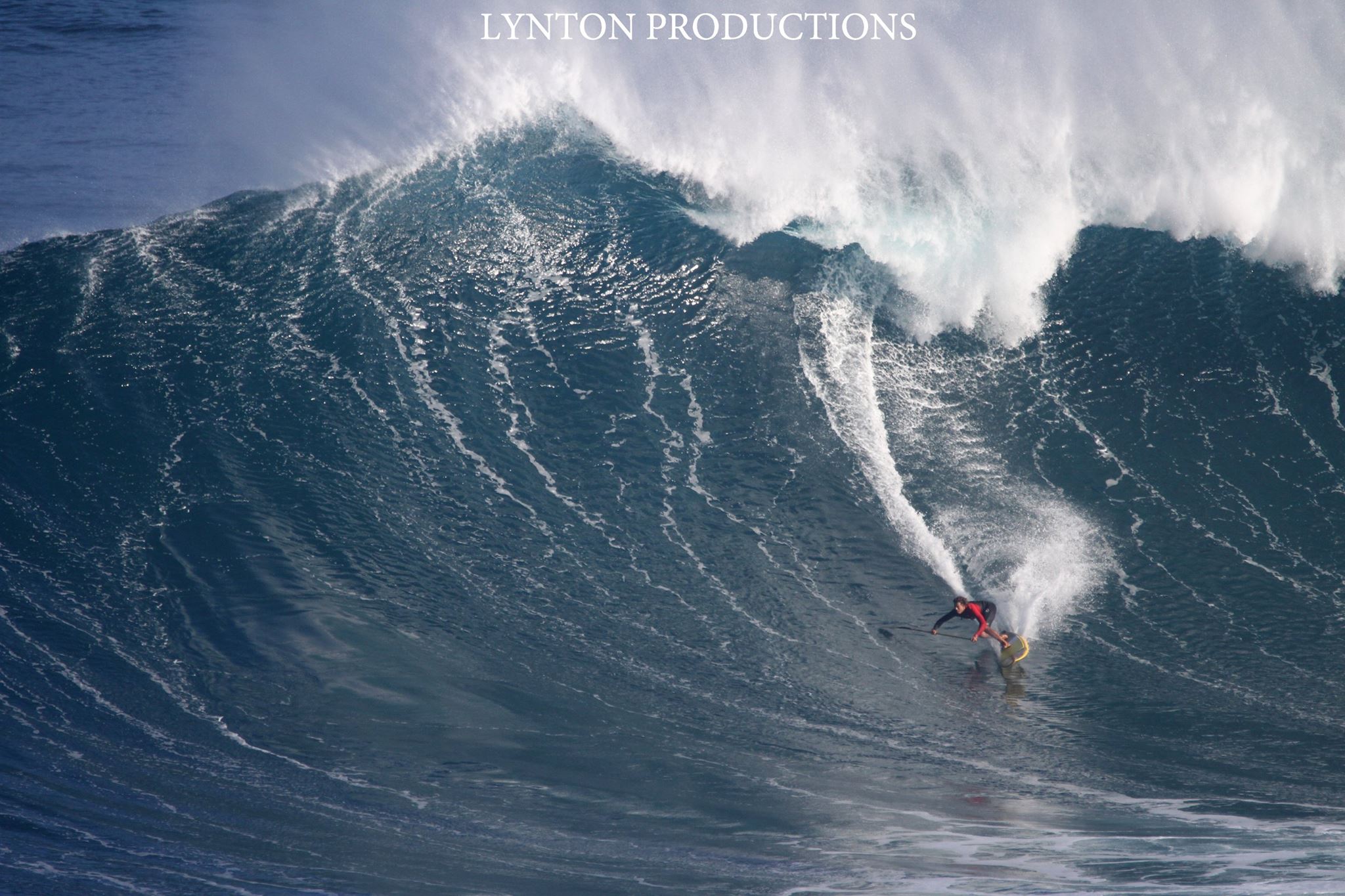 Image: Aaron Lynton