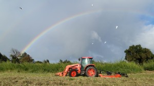 Country Excavation crews at work on the land. Courtesy photo.