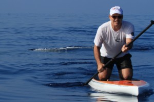 Shark sighting, Mokapu Beach, Saturday, Jan. 16, 2016. Photo credit: Robert Raimo