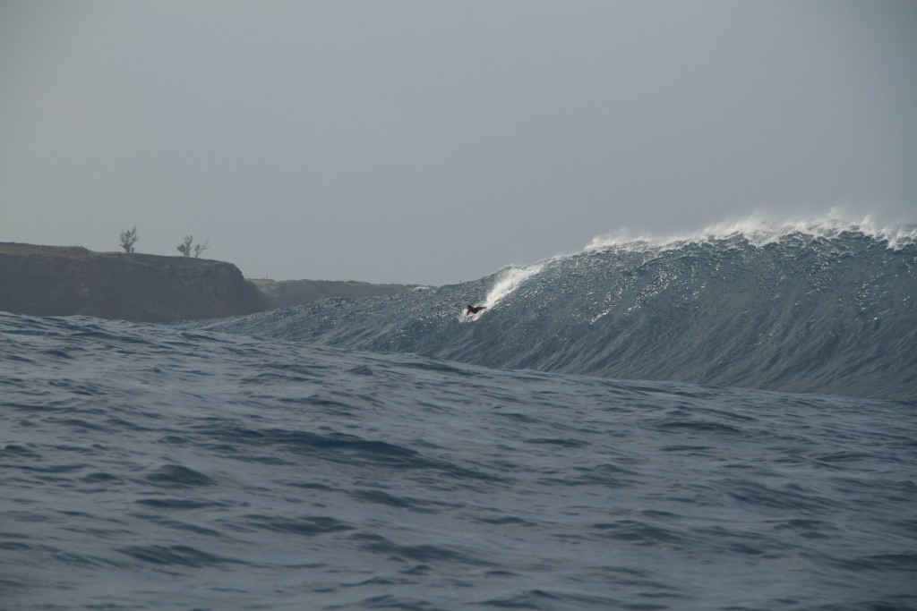 Image: Wangdu Hovey 1.28.16 Pe'ahi "Jaws"