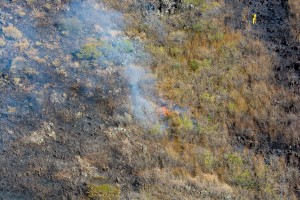 Kahikinui Brush Fire as of 2.18.2016 (Photo: Ryan Piros)