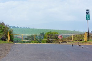 Hoʻokipa Beach Park closed due to hazardous surf of 20 to 30 feet. Monday, Feb. 22, 2016. Photos credit: Ryan Piros / Maui county.