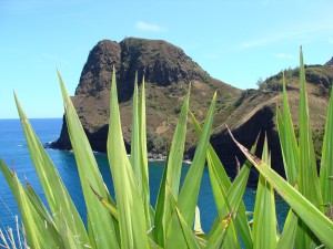 Kahakuloa, file photo by Wendy Osher.