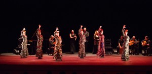 JuanSiddiFlamenco14792158951_3e40efd24d_k