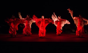 Juan Siddi Flamenco Santa Fe photo.