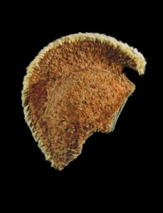 Mahiole (feathered helmet); 09.1997; Hall, Michael. Image courtesy: Te Papa Tongarewa.
