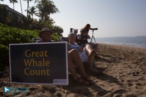 Great Whale Count Maui 2016. Photo credit: Pacific Whale Foundation.