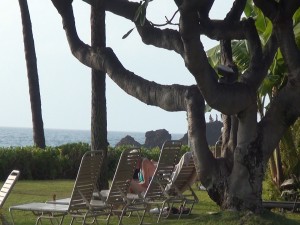 Ocean view at Kā‘anapali Beach Hotel. Photo by Kiaora Bohlool.