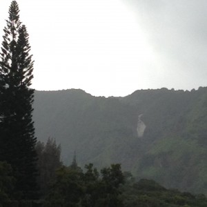 Makamakaʻole rescue. Photo credit: Becky Nakagawa.
