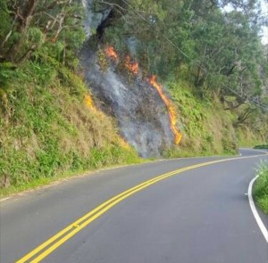 Wailuaiki Fire, Mile 20, Hāna Hwy. Photo credit: Kapena Kalama.
