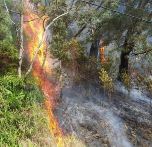 Wailuaiki Fire, Mile 20, Hāna Hwy. Photo credit: Kapena Kalama.