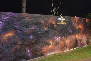 Pā‘ia Mural Project. 808 URBAN photo.