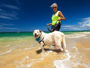 Alice Bennett. Photo credit: Maui Humane Society.