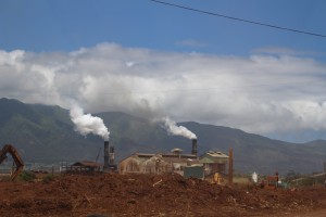 HC&S Puʻunēnē Mill. Photo by Wendy Osher.