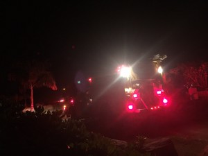 Pu'unoa brush fire, 3/9/16. Photo credit: Chuck Bergson.