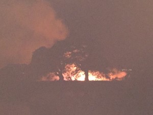 Pu'unoa brush fire, 3/9/16. Photo credit: Chuck Bergson.