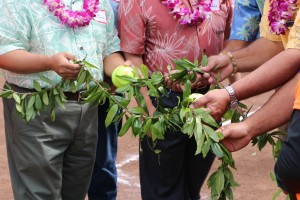 Central Maui Regional Sports Complex grand opening and blessing event (3/12/16). Photo credit: DLNR.