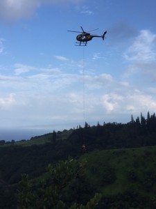 Photo credit: Maui Department of Fire & Public Safety.