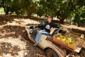 Yee's Orchard will be on hand at Maui County Ag Fest, in the Grown on Maui Farmers Market tent.