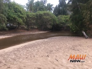 Brown water, Honokahua Bay (3.16.16). Photo courtesy: Hawaiʻi State Department of Health.