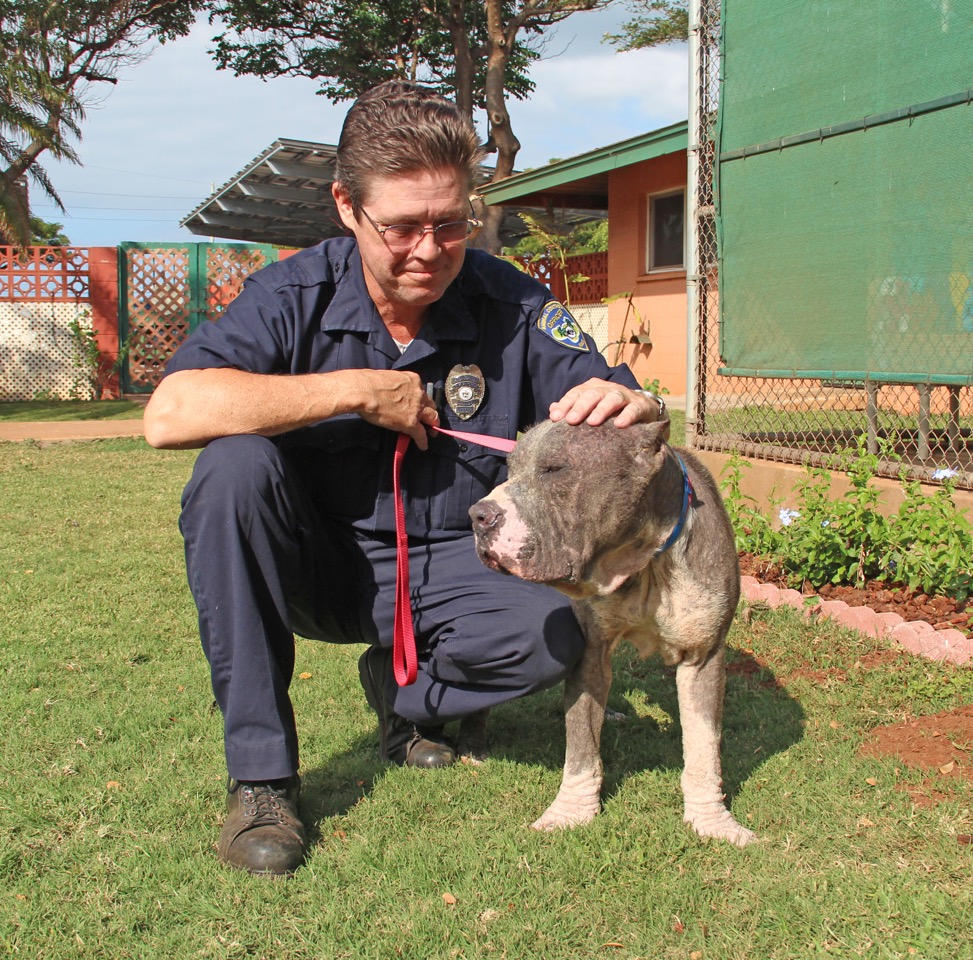 The Maui Humane Society launches 24-Hour Animal Response program. Photo credit: Maui Humane Society.