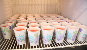 Ice cake or Ice cup?