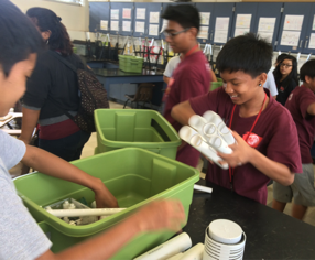 boys green bins aquaponics