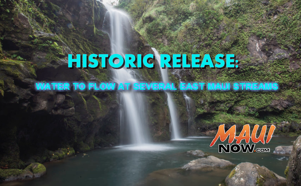 Maui Now Graphic. Background Image credit: Chris Archer.