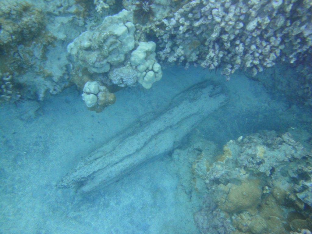 Kiawe in nearshore waters at ʻĀhihi-Kīna‘u Natural Area Reserve on Maui’s south shore. Image credit: DLNR.