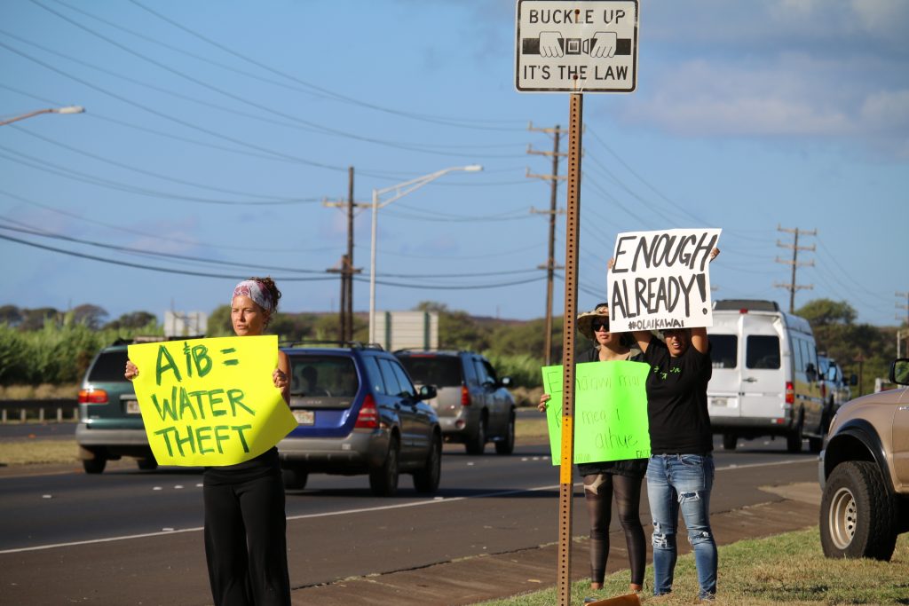 Water rights rally on Hāna Highway (5.3.16). Photo by Nicole Schenfeld.