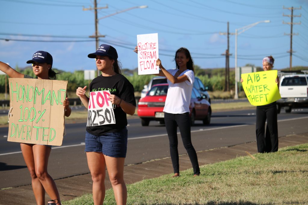 Water rights rally on Hāna Highway (5.3.16). Photo by Nicole Schenfeld.