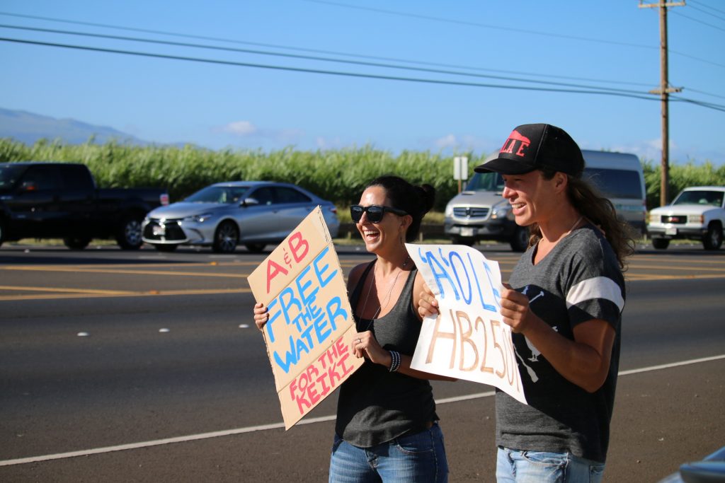 Water rights rally on Hāna Highway (5.3.16). Photo by Nicole Schenfeld.