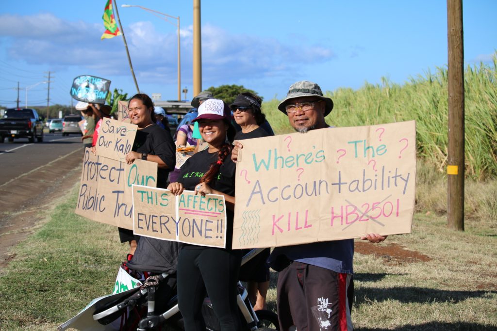 Water rights rally on Hāna Highway (5.3.16). Photo by Nicole Schenfeld.