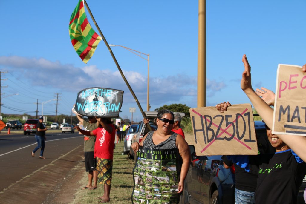 Water rights rally on Hāna Highway (5.3.16). Photo by Nicole Schenfeld.