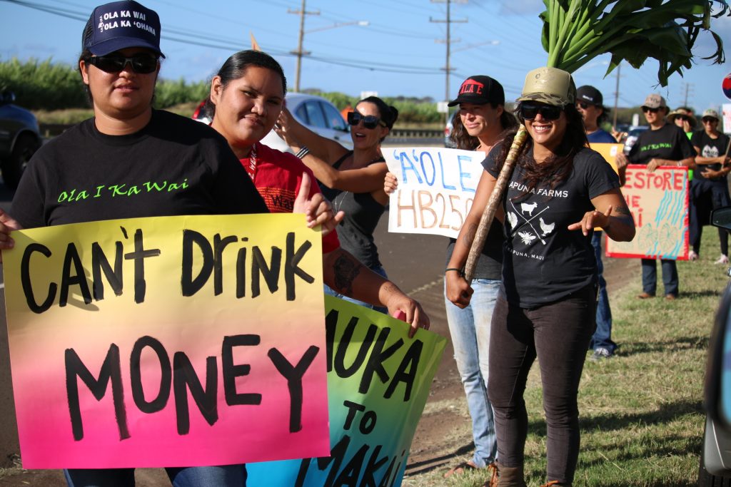 Water rights rally on Hāna Highway (5.3.16). Photo by Nicole Schenfeld.