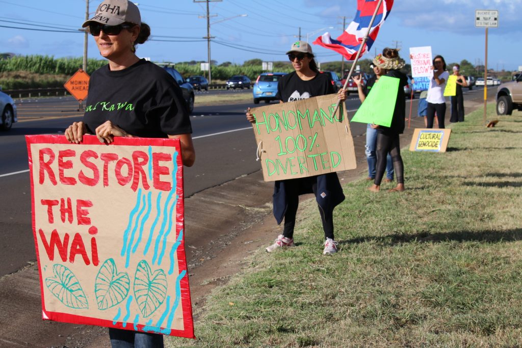 Water rights rally on Hāna Highway (5.3.16). Photo by Nicole Schenfeld.