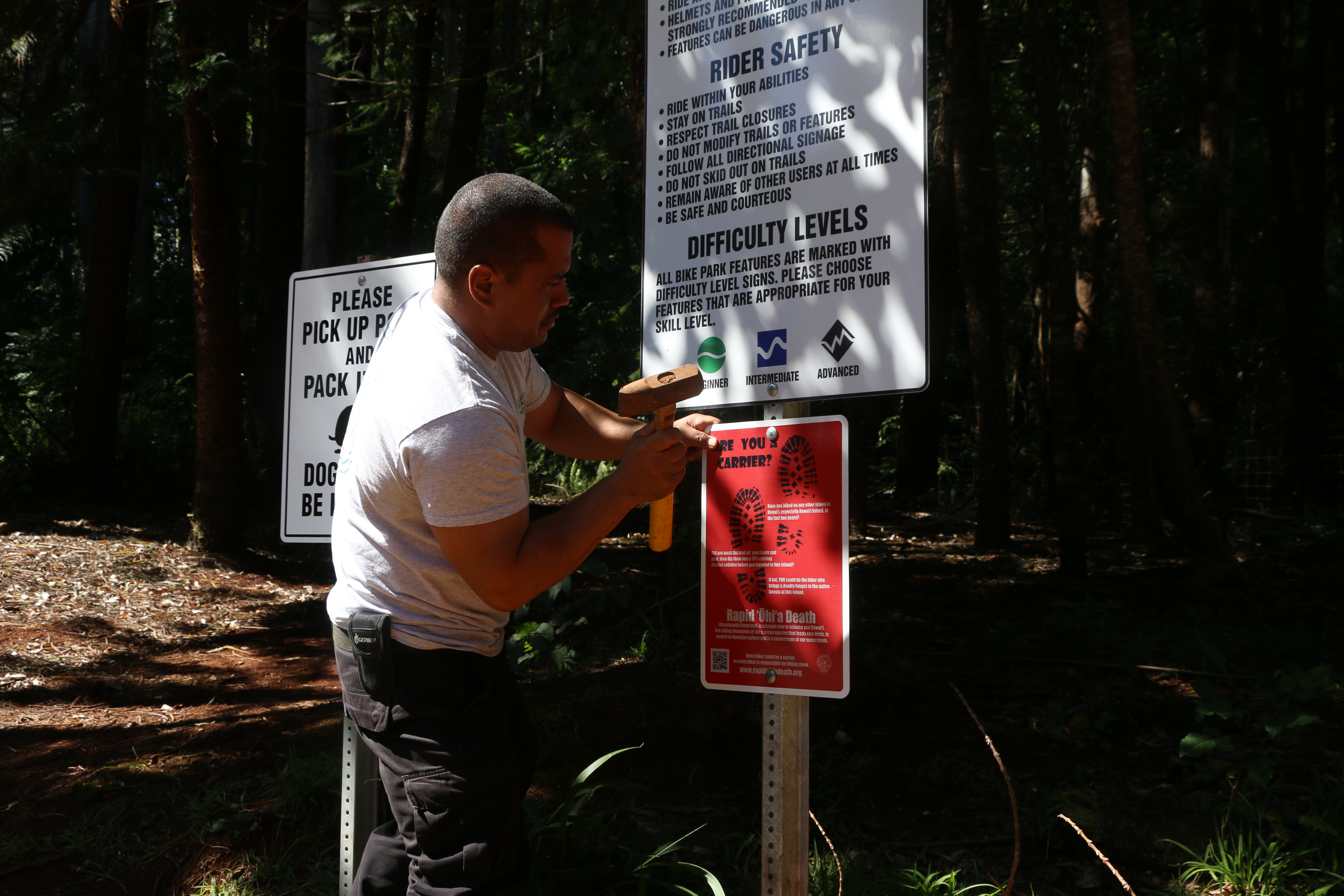 Individual signs are different in appearance, but contain the same basic message. Rapid ‘Ōhi‘a Death kills one of the most important native trees quickly and in wide swaths. Failing to follow the simple recommendations outlined on both signs could make you responsible for spreading this disease inter-island and intra-island. Photo credit: DLNR.