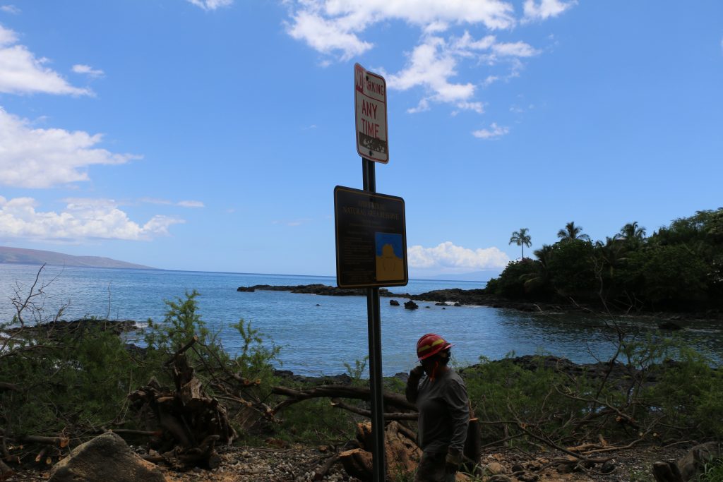 Kiawe trees being cut down and removed from ʻĀhihi-Kīna‘u Natural Area Reserve on Maui’s south shore. Image credit: DLNR.