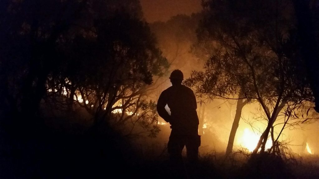 Honolua brush fire. Photo Credit: Fire Capt. Kaulana Kino
