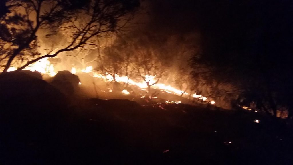 Honolua brush fire. Photo Credit: Fire Capt. Kaulana Kino