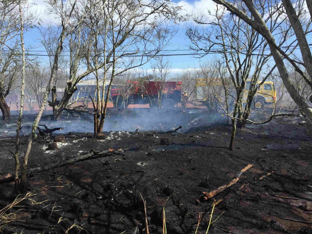 Hoolehua fire. Photo Credit: Maui Fire Department.