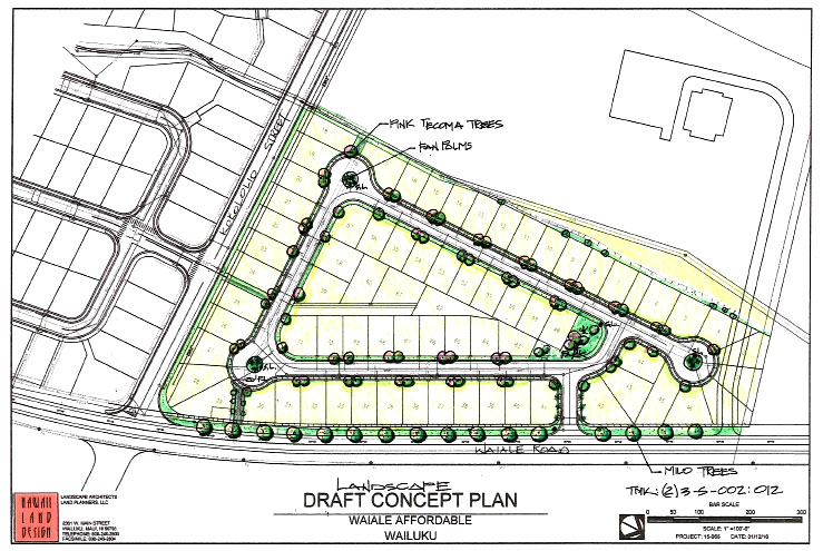 Waiʻale Affordable Housing draft concept plan. Image courtesy Office of Council Services via Hawaiʻi Land Design.