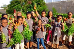 "Saladbration" at Maui School Garden Network, one of the groups reaping the benefits of RSVP. Courtesy photo.
