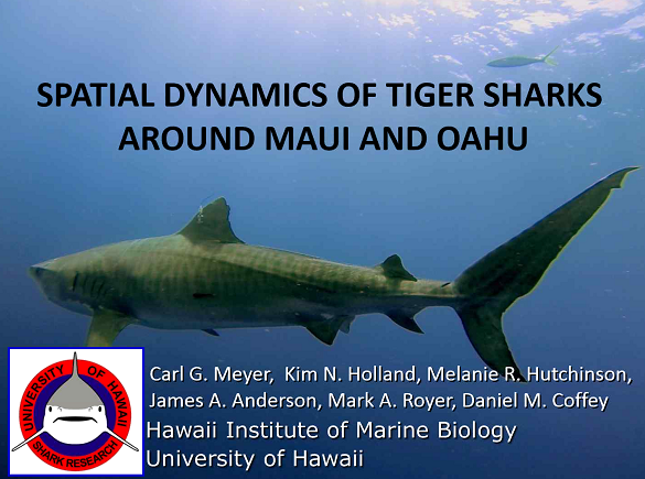 Image credit: State Department of Land and Natural Resources.