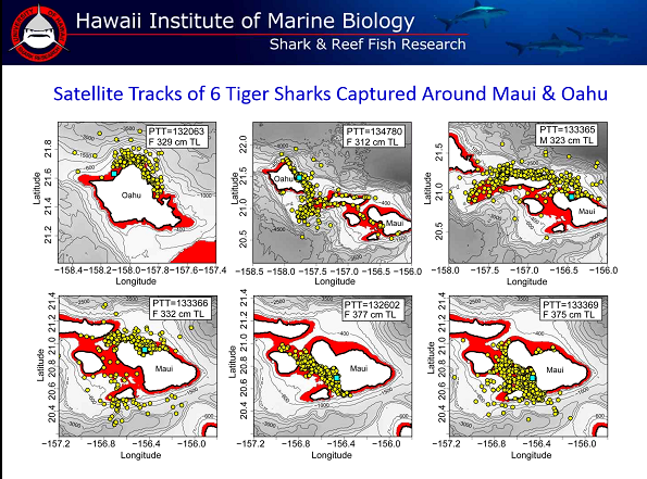 Image credit: State Department of Land and Natural Resources.