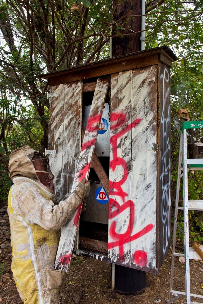 Beehive removal on a Civil Defense siren at Haycraft Beach Park in Māʻalaea. (6.2.2016) (Photo: Ryan Piros)