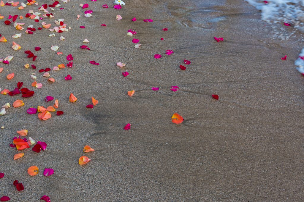 Orlando vigil on Maui (6.13.16) Photo credit: Llevellyn Lightsey.