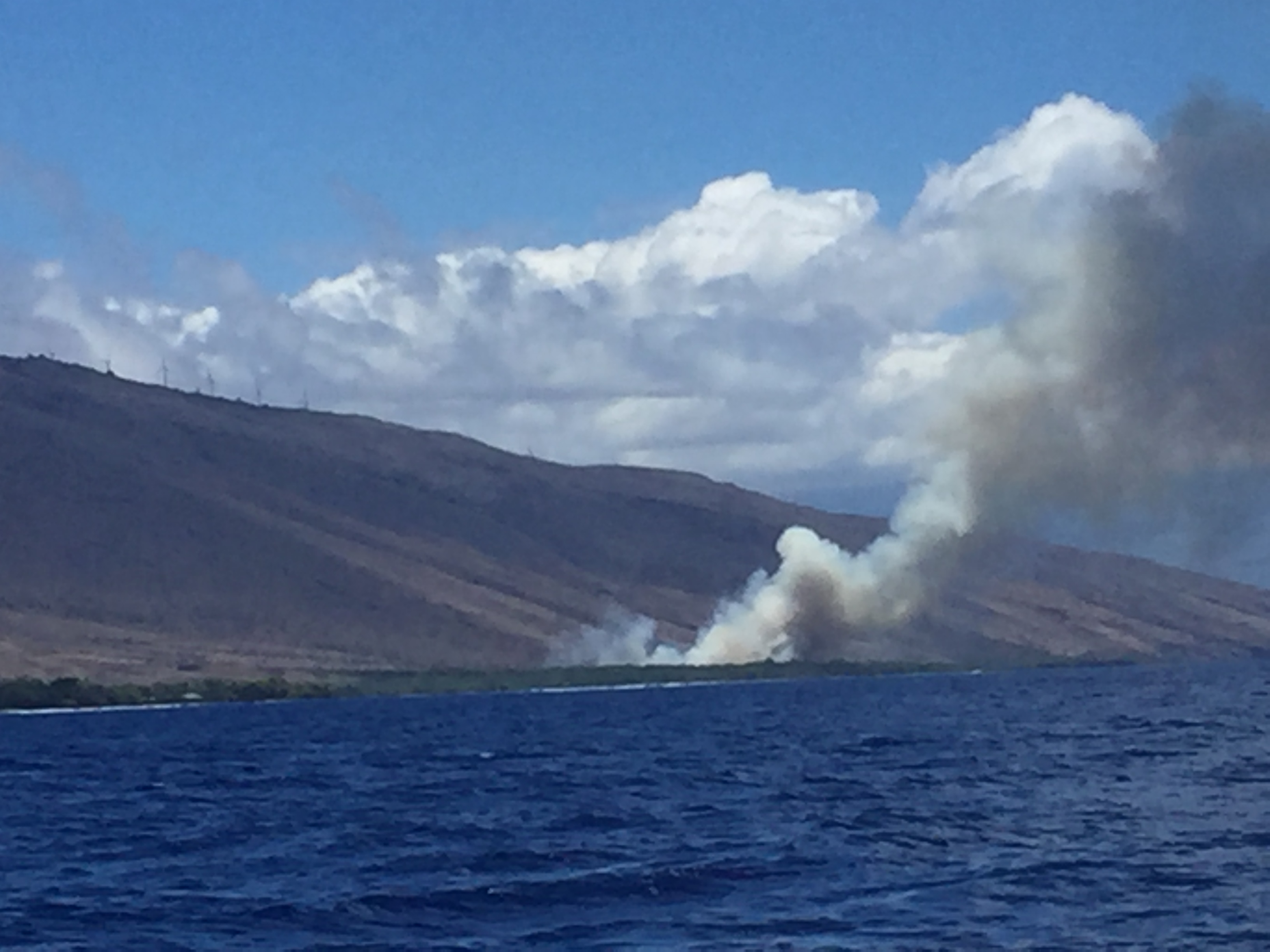 Ukumehame brush fire (6.22.16). Photo credit: Sharkpit