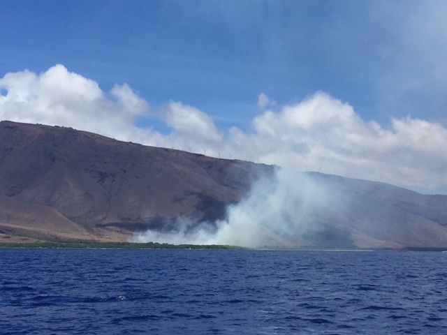 Ukumehame brush fire (6.22.16). Photo credit: Sharkpit